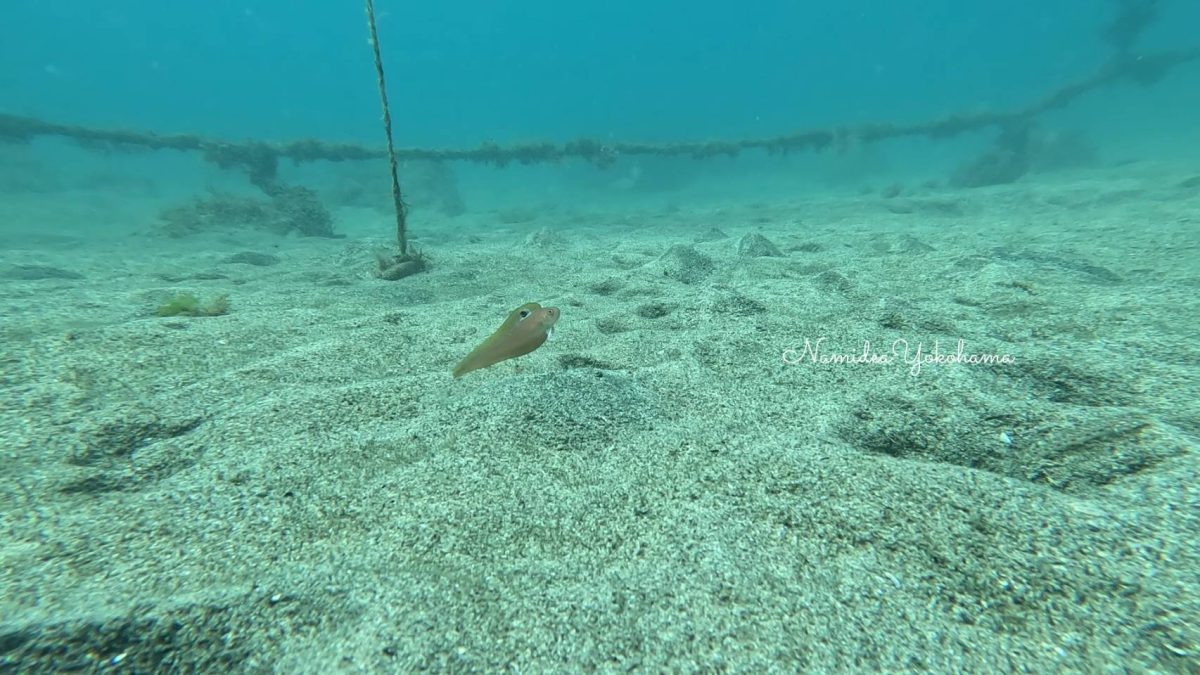 福浦 インドアカタチ