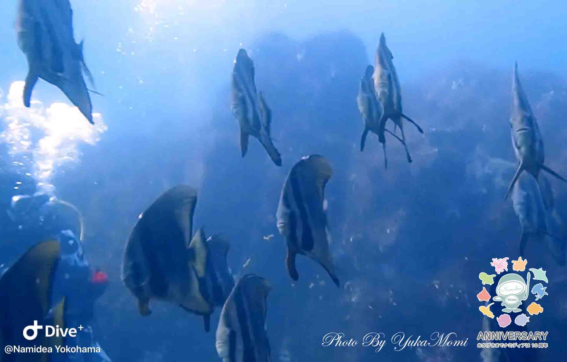 Namidea 2024年GWの思い出👍