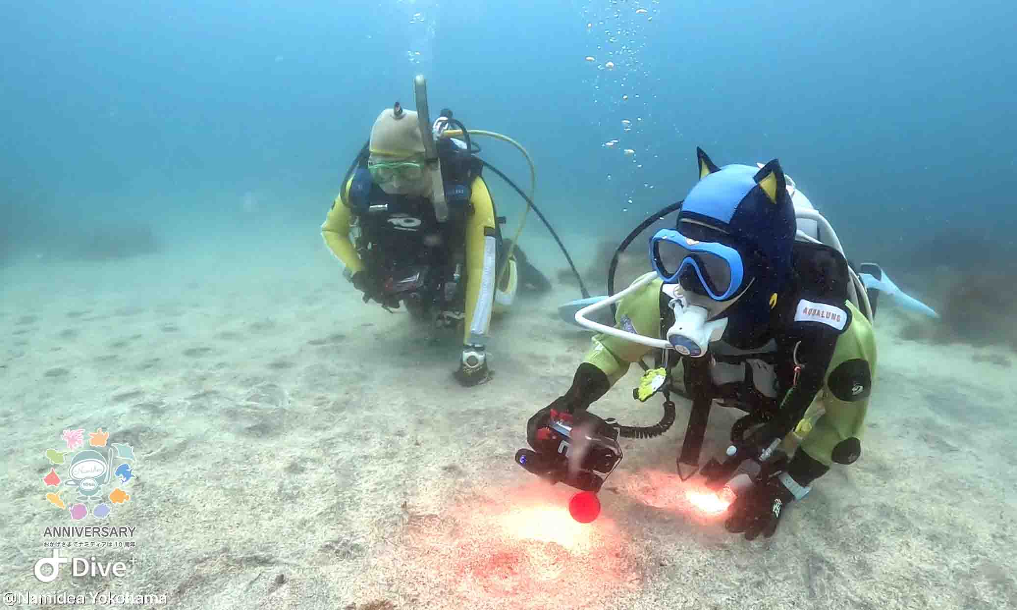 Namidea 今週は安定のヨコバマツアーから!