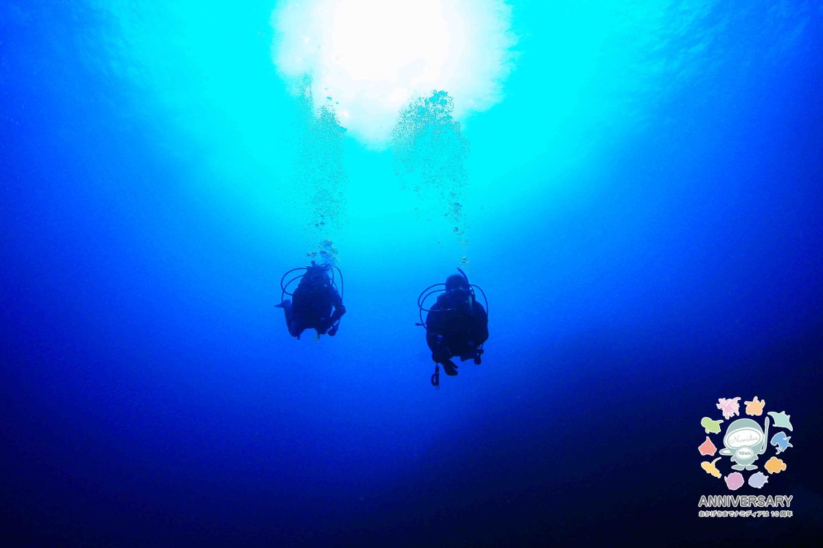 Namidea 曇り空の木曜日🌈