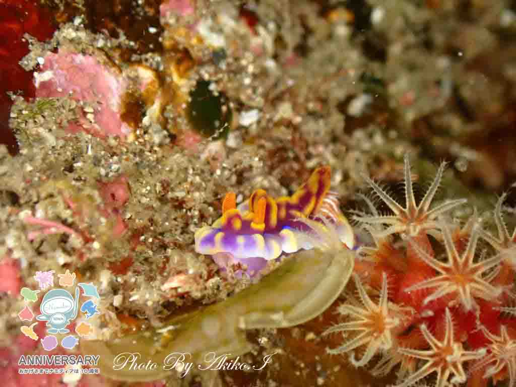 Namidea 2024年GWの思い出👍