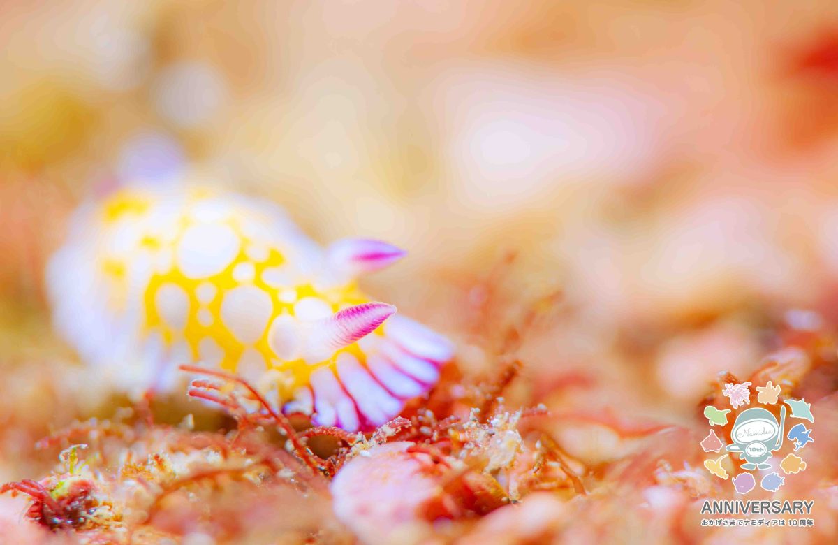 Namidea 雨上がりで週のスタート🌈