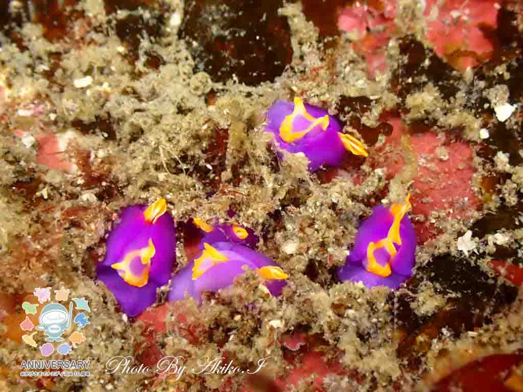 Namidea 2024年GWの思い出👍