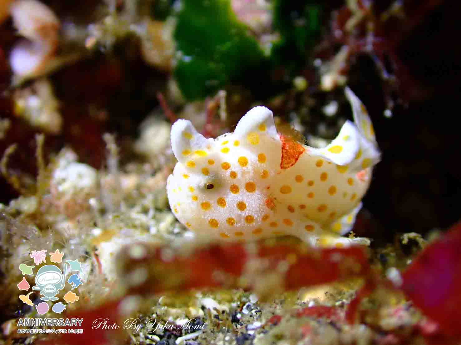 Namidea 2024年GWの思い出👍