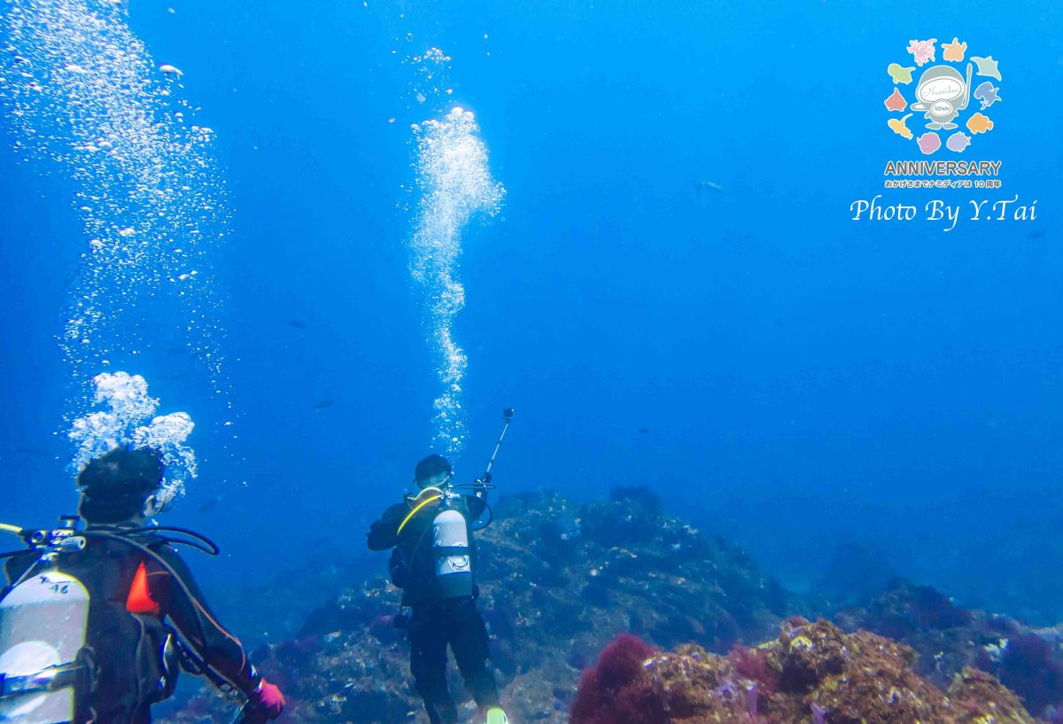 Namidea カメラデビュー日記!