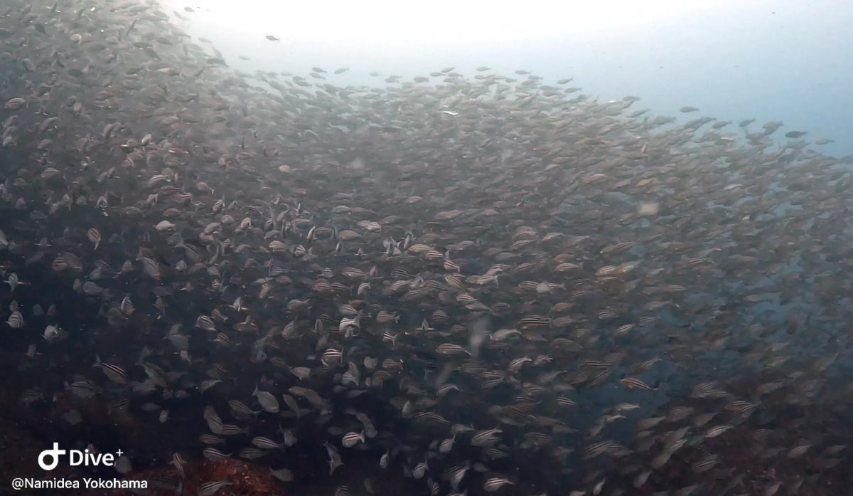 2024GW前半の思い出！