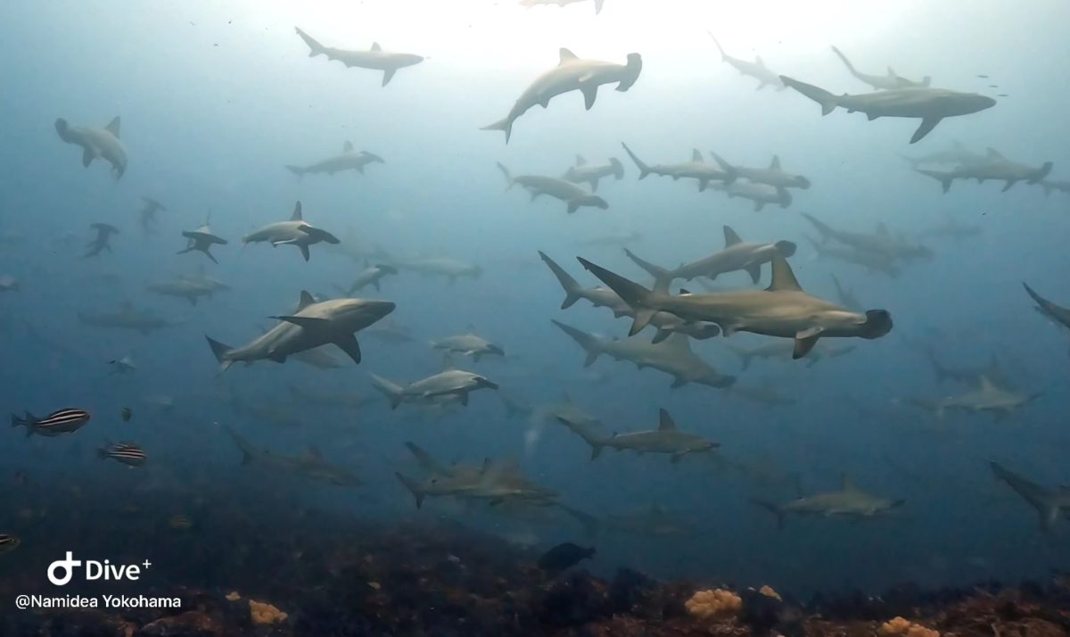 2024GW前半の思い出！