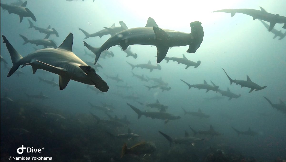 2024GW前半の思い出！