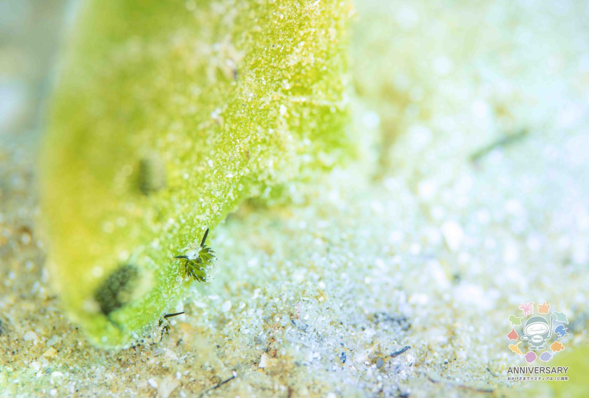 Namidea 曇り空の木曜日🌈