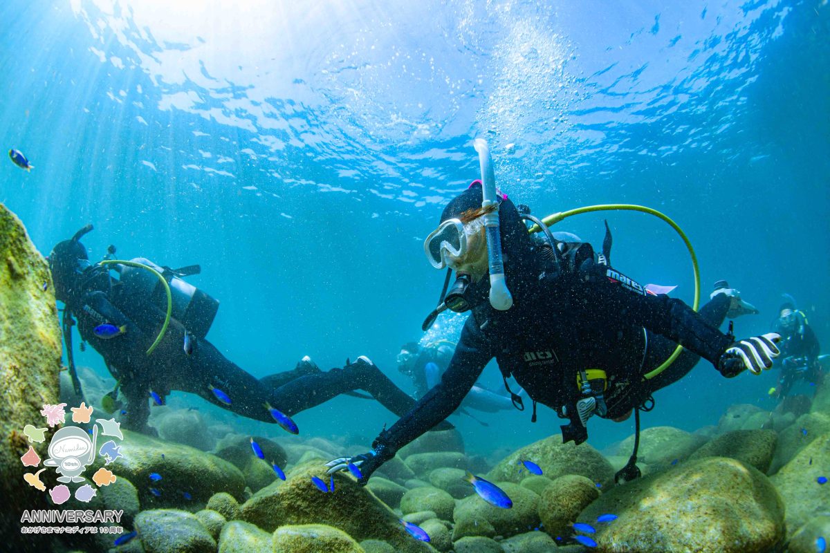 Namidea 雨上がりの火曜日！
