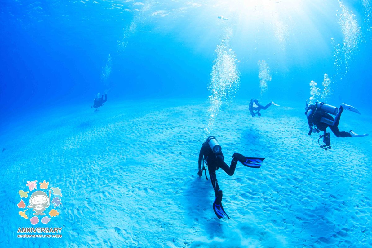 Namidea 雨あがりの木曜日！