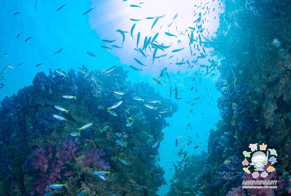 Namidea 快晴のサンデーモーニング🌞