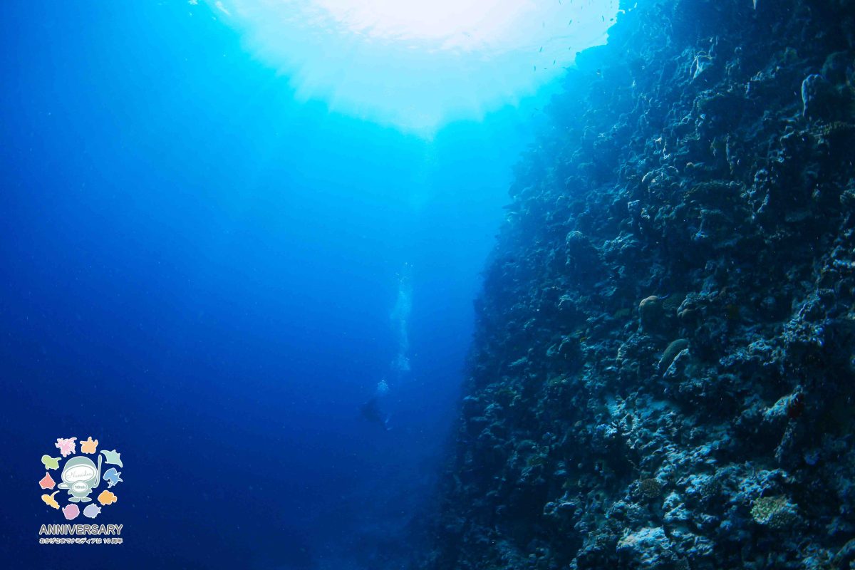 Namidea 6月もあとわずか！