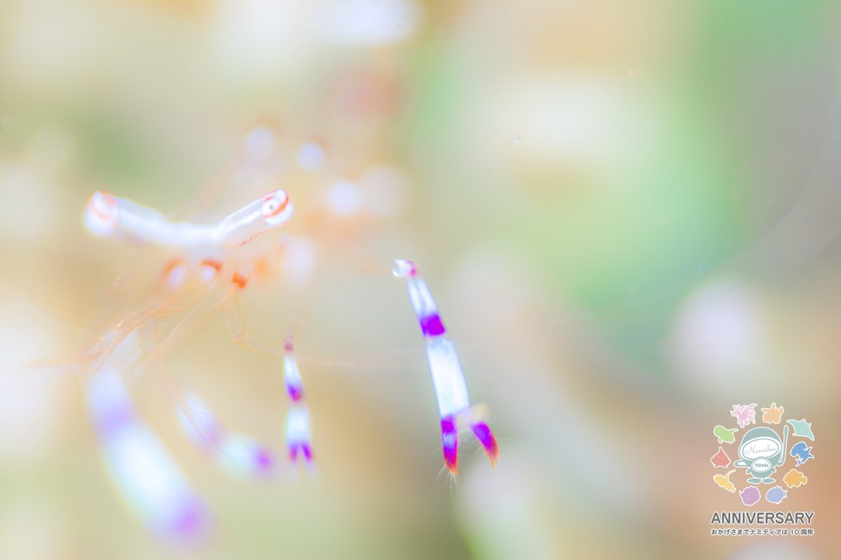 Namidea 新しい週の始り！