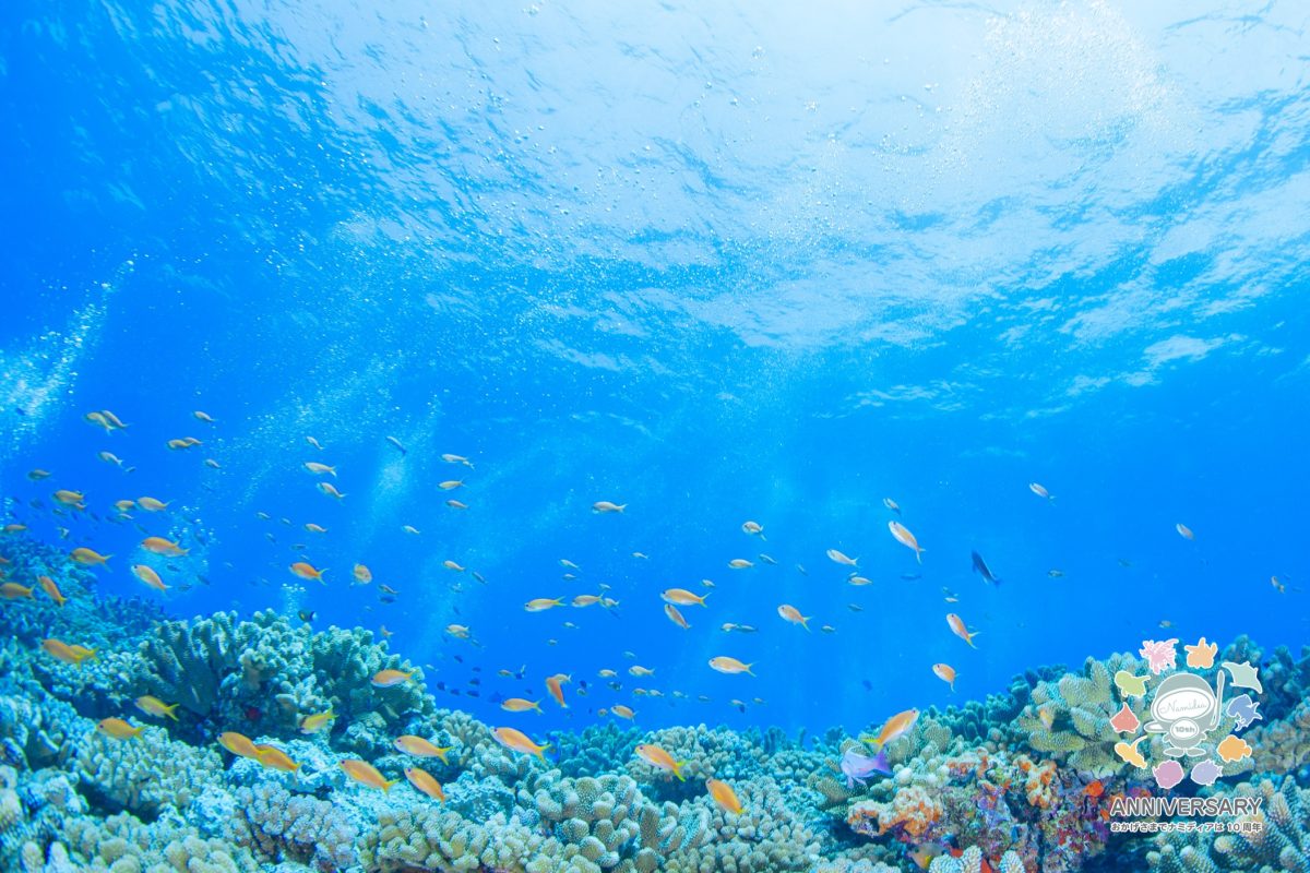 Namidea 6月のスタート!