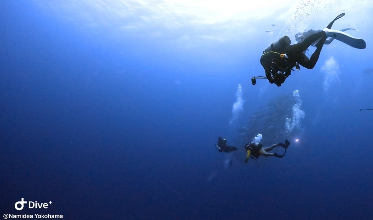 Namidea 押切JAPAN🇯🇵慶良間ドリフトへ⛴