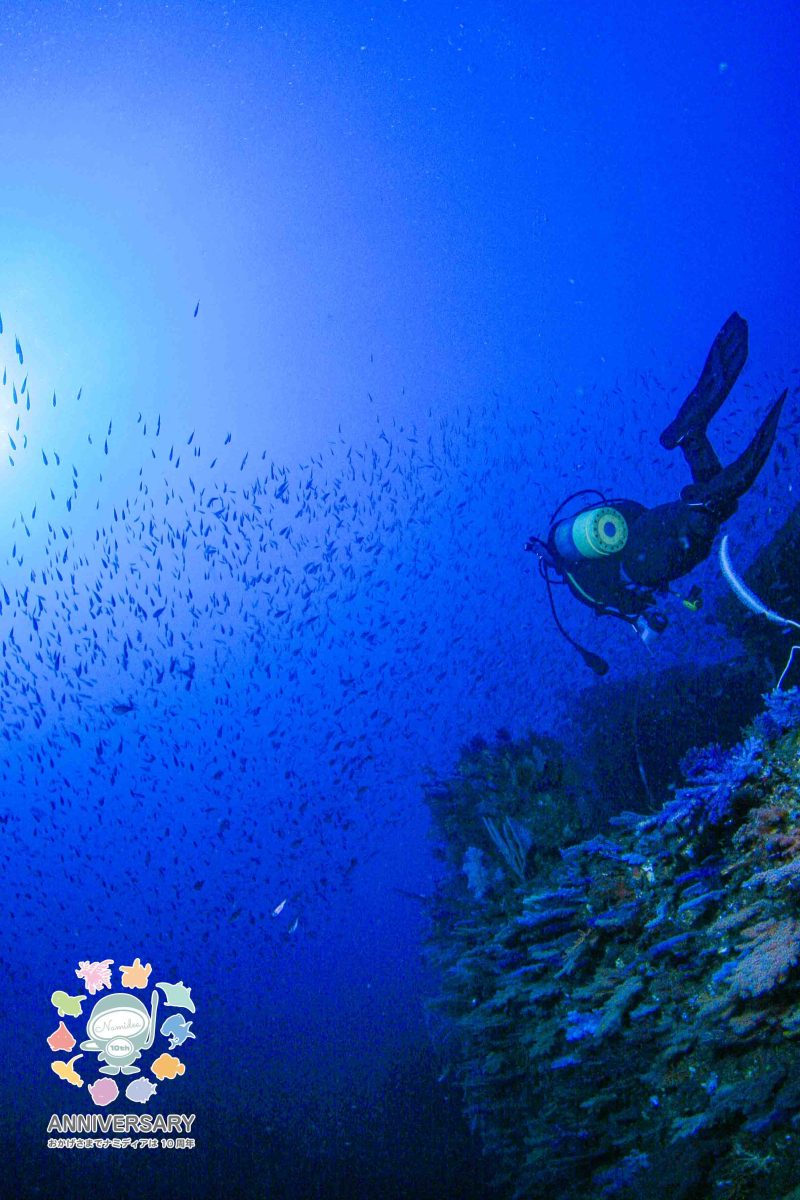 Namidea 熱海沈船ツアー開催！