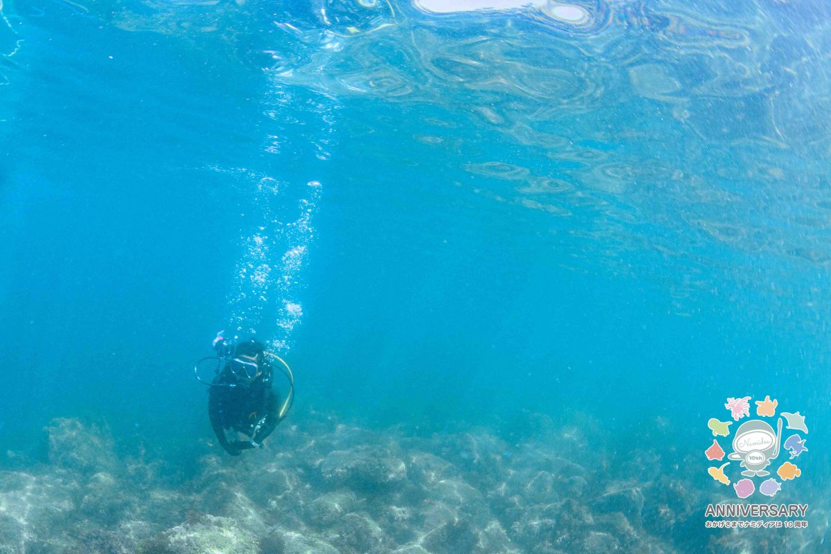 Namidea 連休前は体験ダイビング！