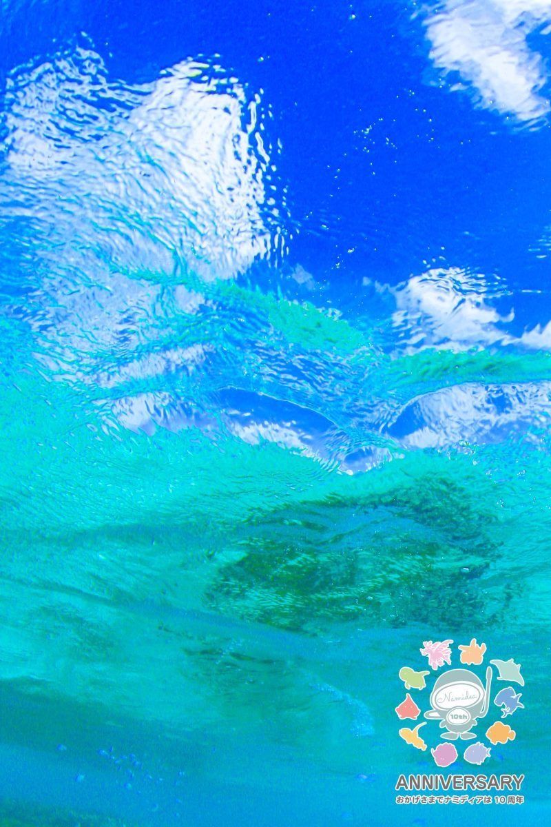 Namidea 8月最終週スタート！