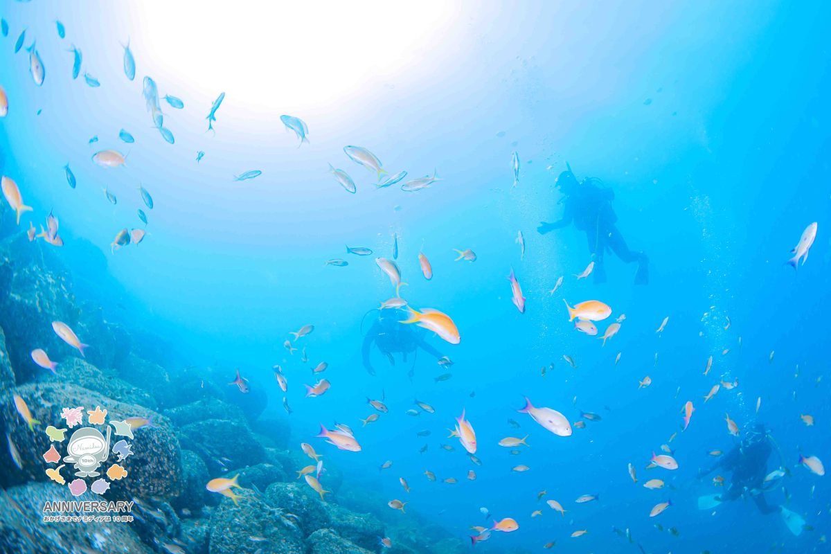 Namidea 夏休み間近!