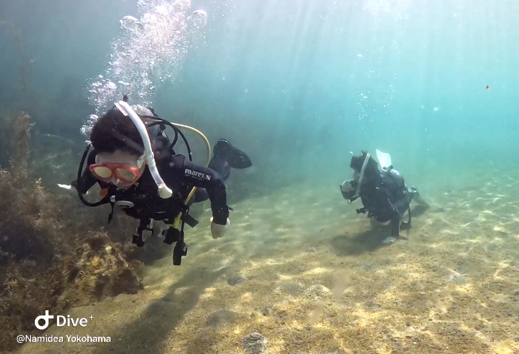 Namidea 真夏のJr.OW!