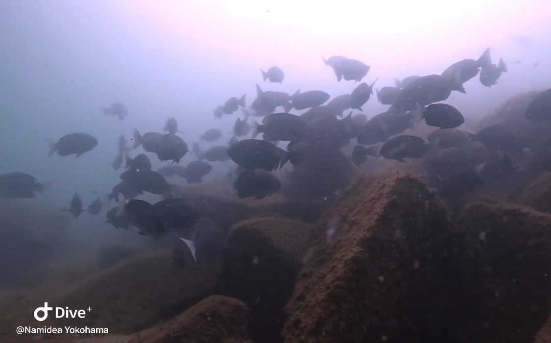 お盆連休スタート❗️初日はみんなで平沢ビーチへ👍🌞