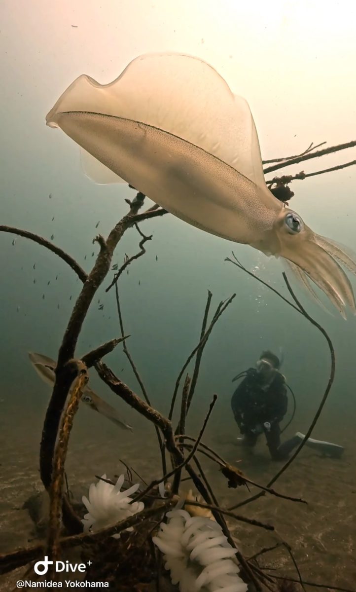 Namidea お盆連休最終日❗️華の81年度組🌸北川ダイブ🌞