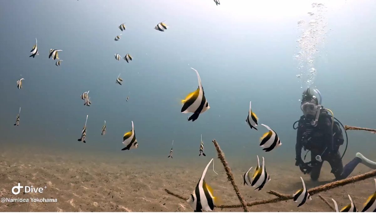 Namidea お盆連休最終日❗️華の81年度組🌸北川ダイブ🌞