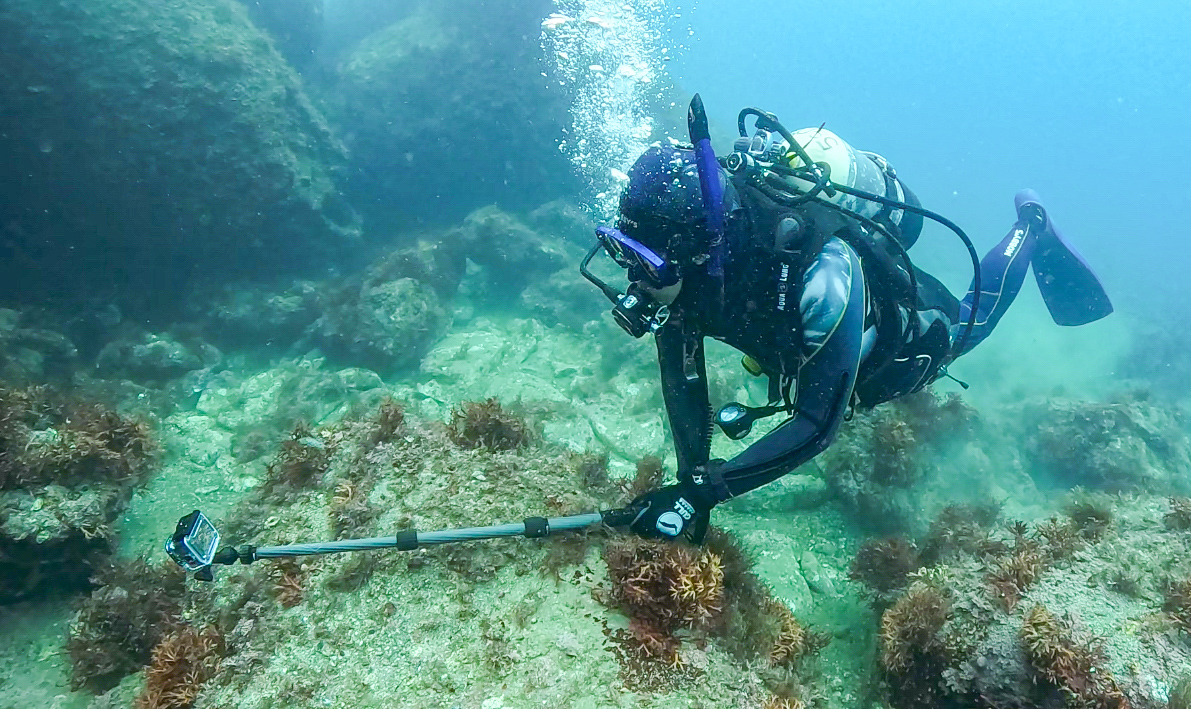 Namidea 江之浦でのんびりダイブ😎👍明日からは大型スタッフも加入😏🏃💨