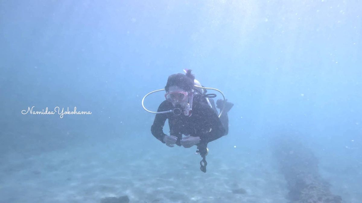 ライセンス講習
城ヶ島