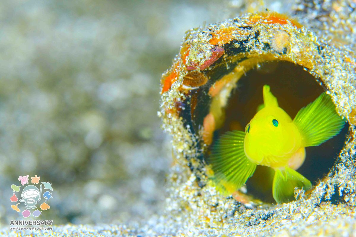 Namidea お盆に台風接近中🌀