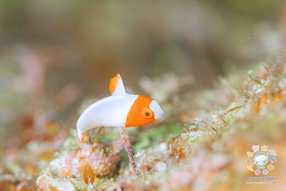 Namidea 連休明け！