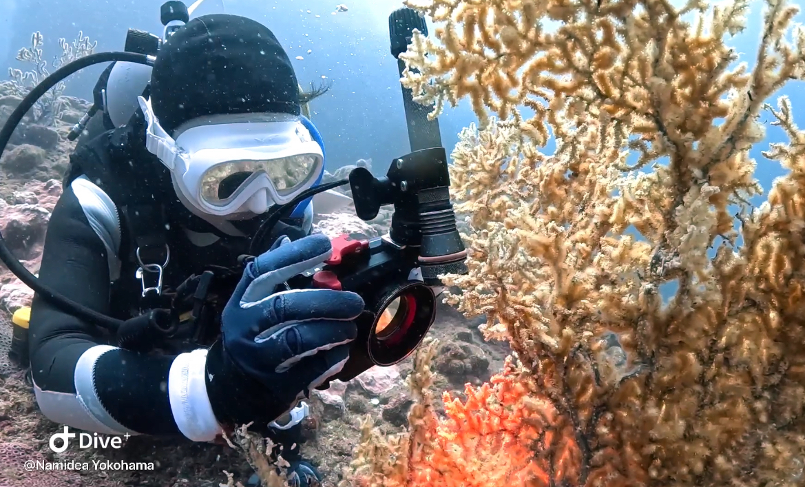 Namidea 連休明け感がすごい🤣