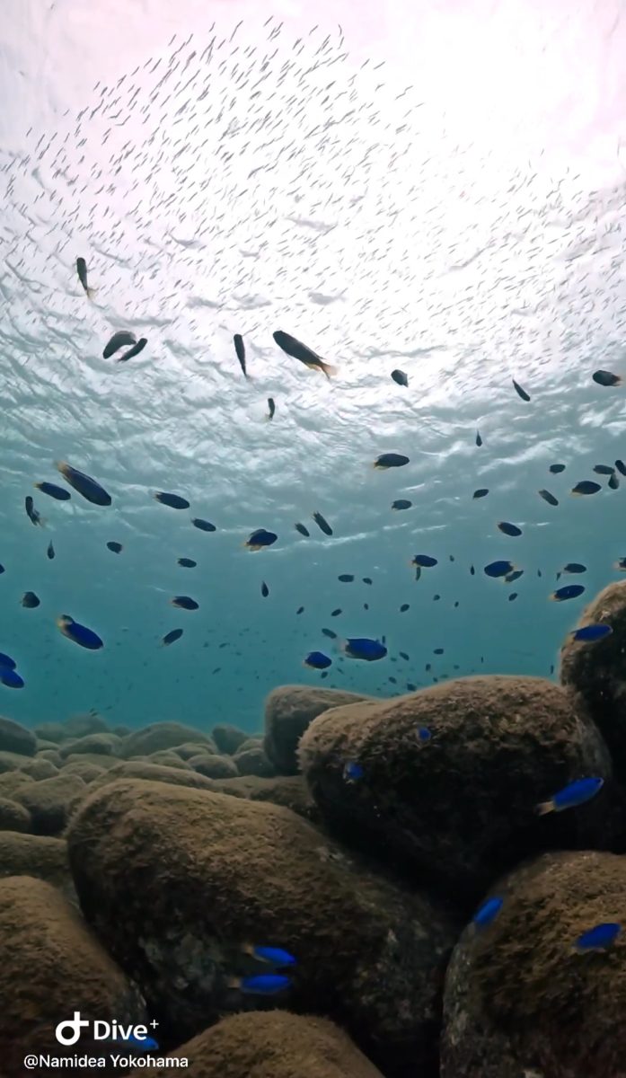 Namidea 9月最終日!