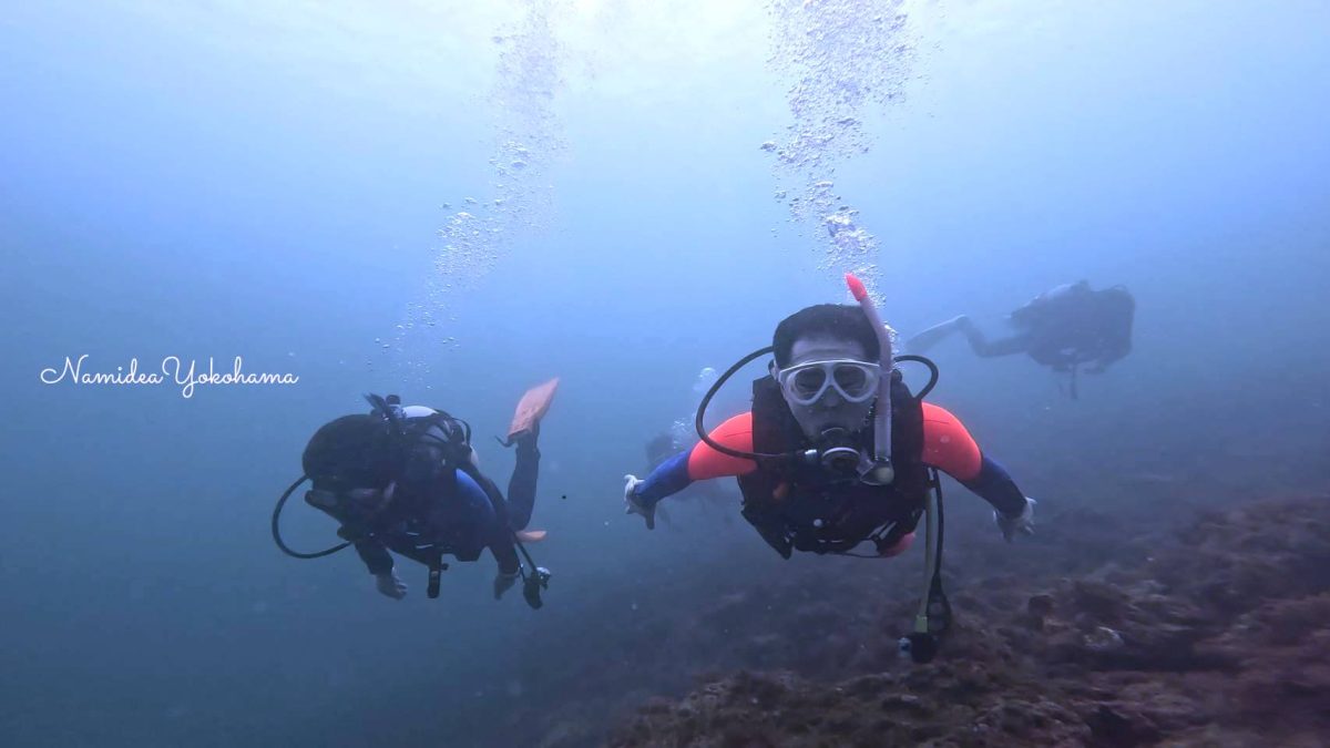 平日富戸ビーチツアー