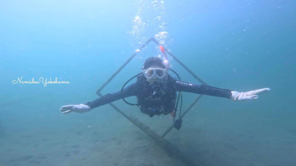 ライセンス講習