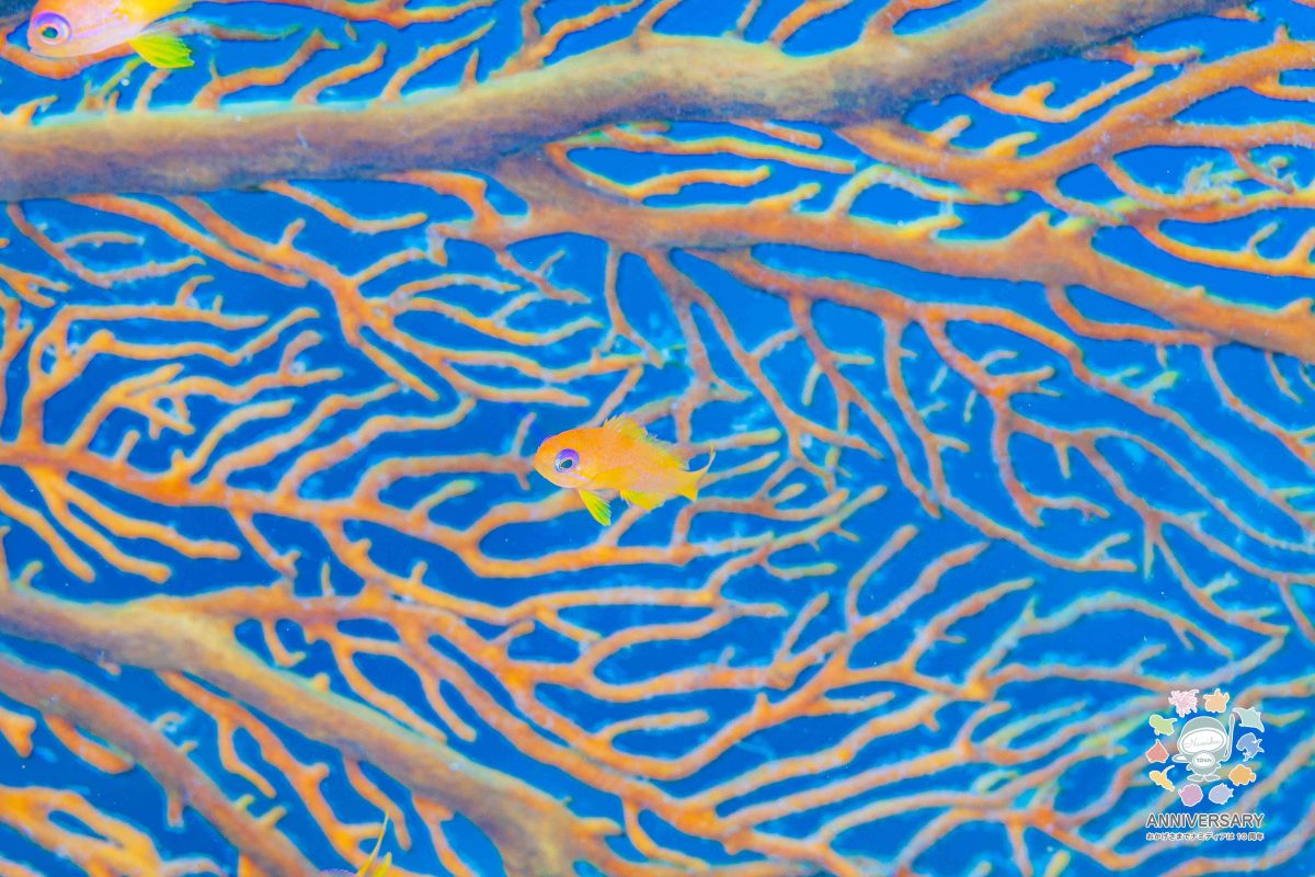 Namidea 10月ラストの週末！