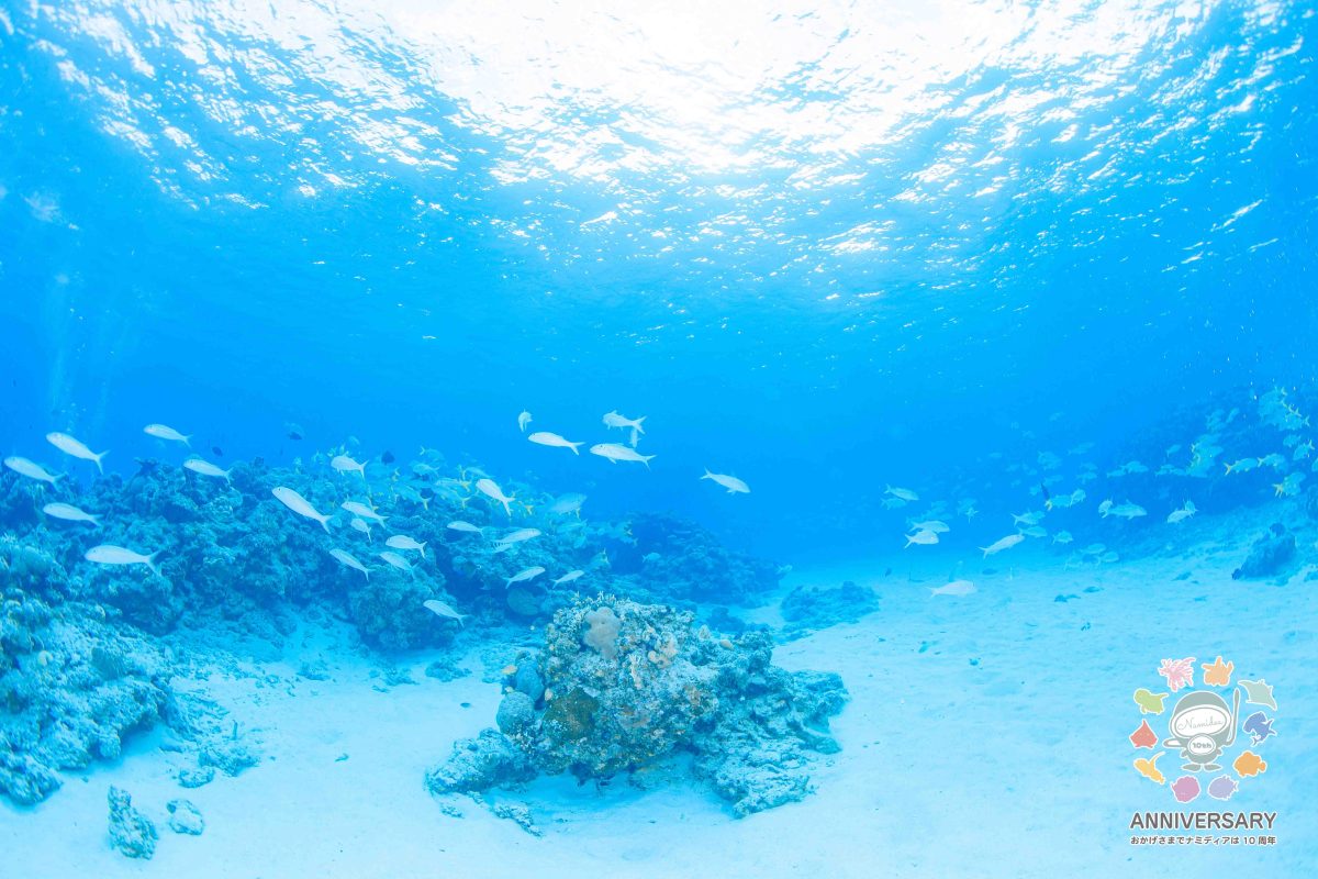 Namidea 10月もあと一週間！