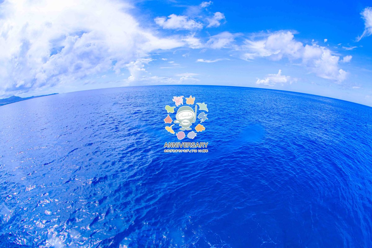 Namidea 雨上がりの水曜日！