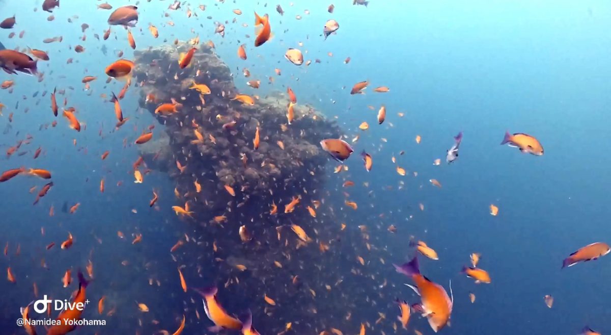 Namidea 昨日は田子ボートへ！