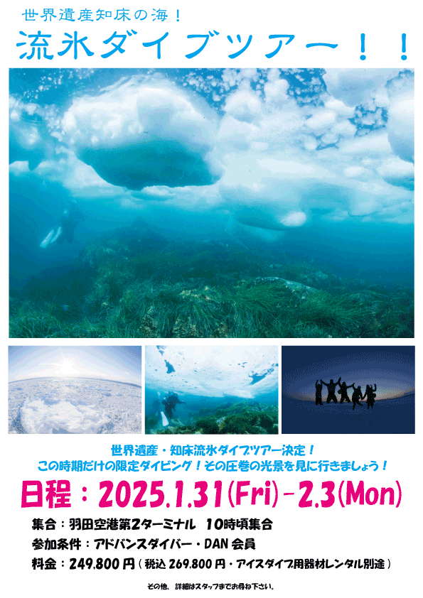 Namidea 2025流氷ダイビング!