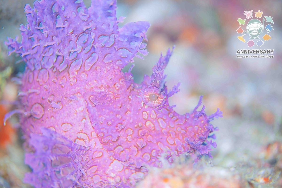 Namidea あっという間に金曜日🌈