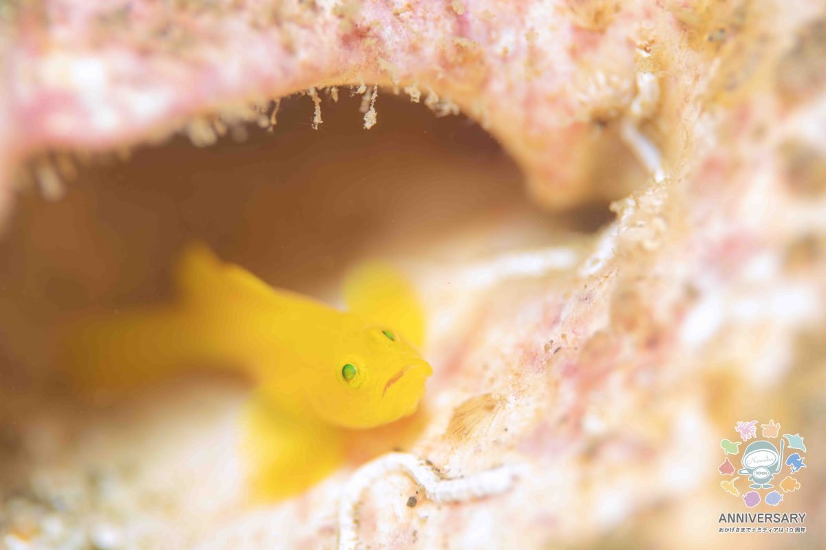 Namidea 連休明けの火曜日！