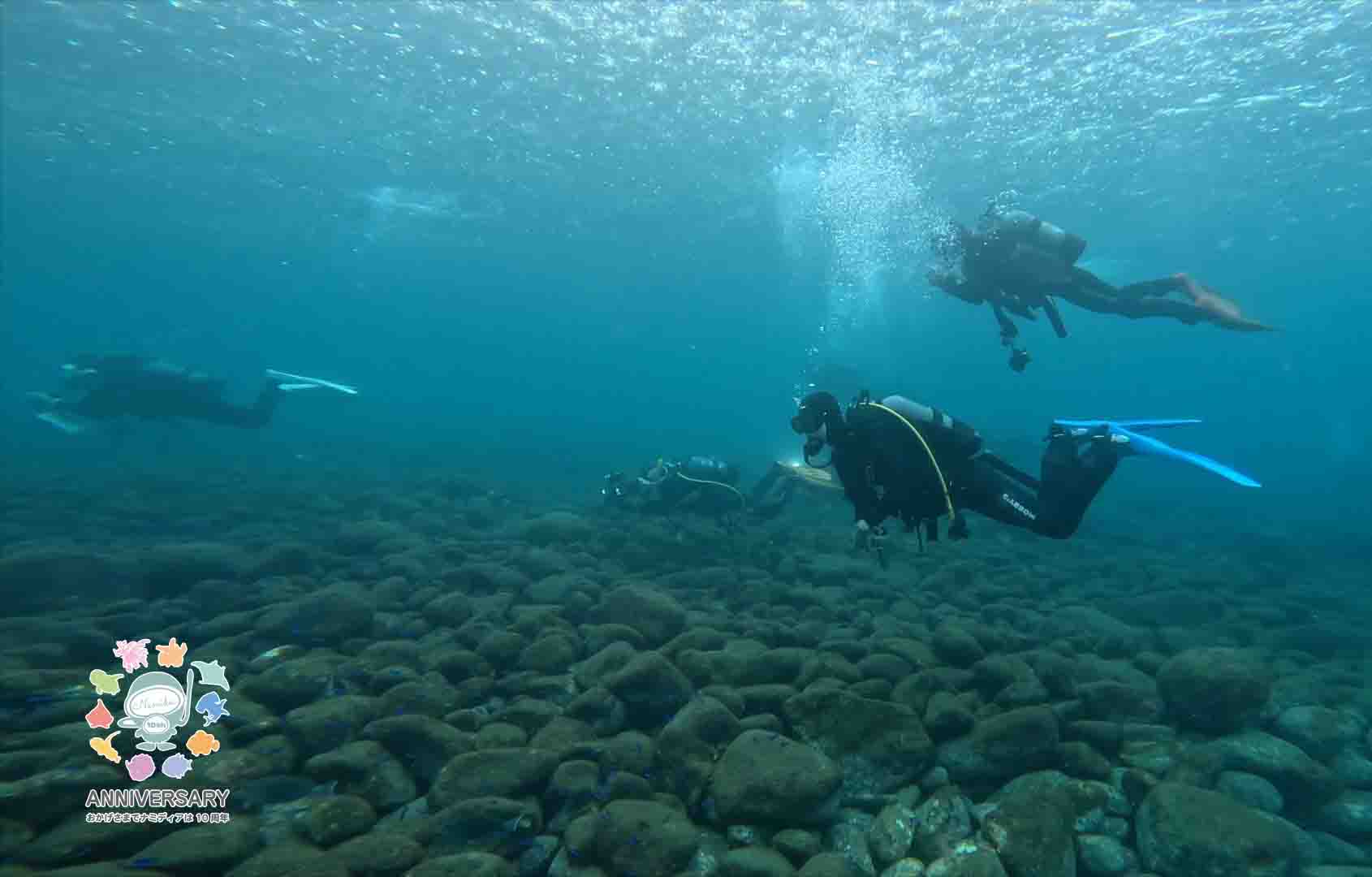 Namidea 視察会で井田の海を潜ってきました!