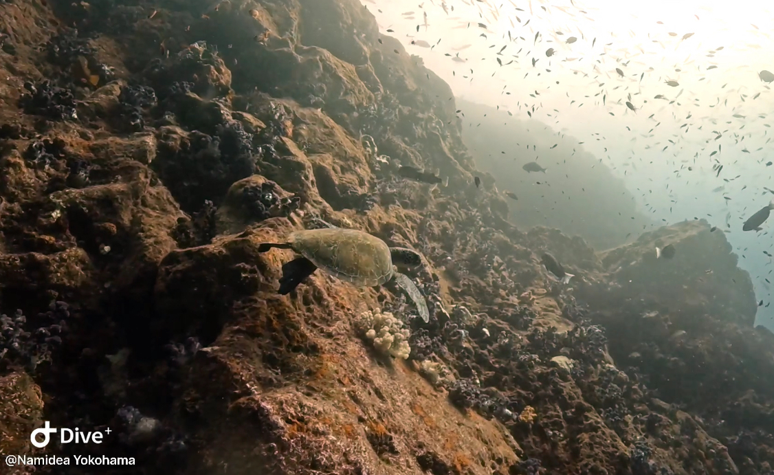 Namidea 講習&ツアーチームで平沢へ🚗💨