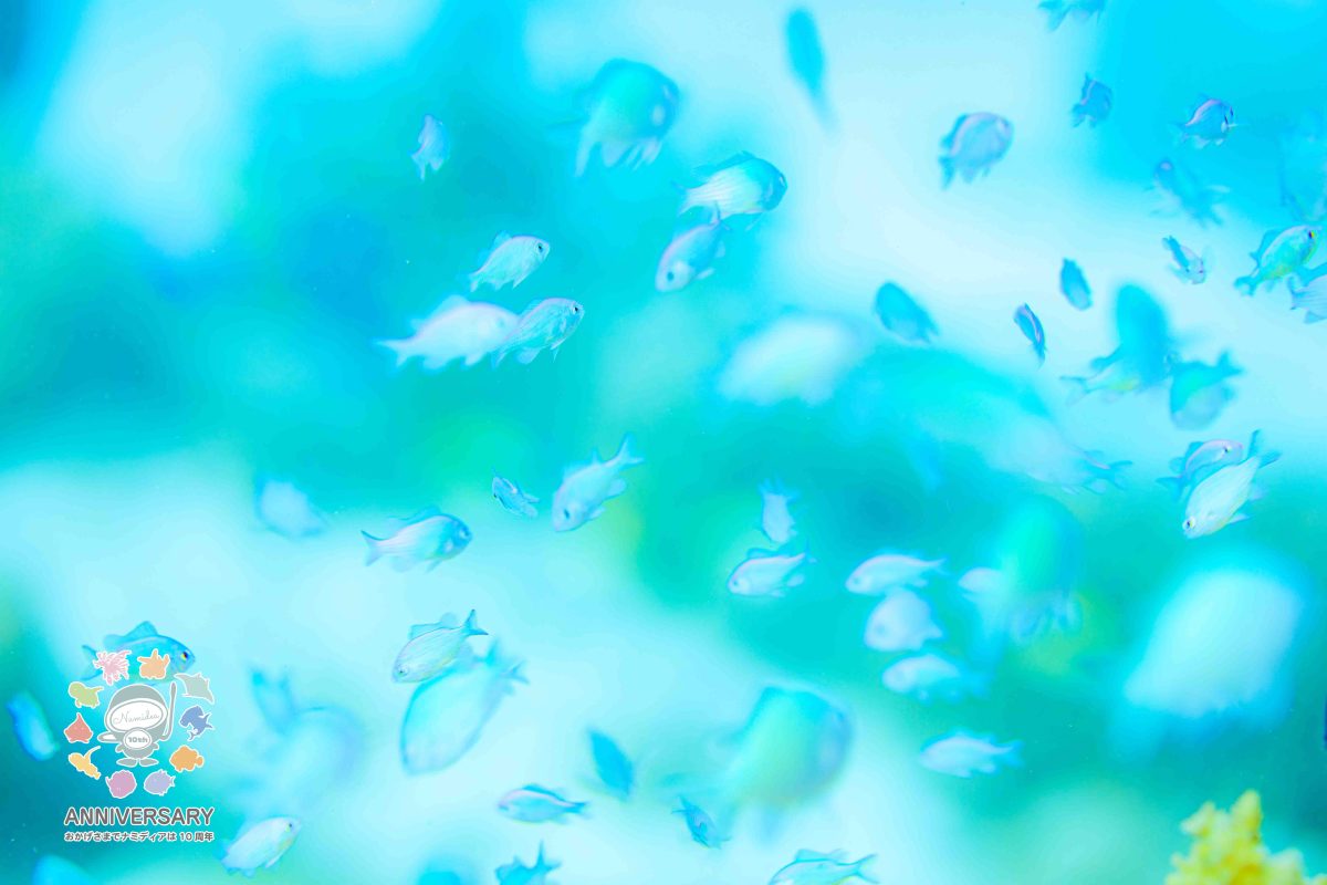 Namidea 雨上がりの木曜日！