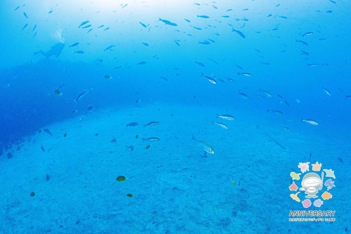 Namidea 日々快晴！