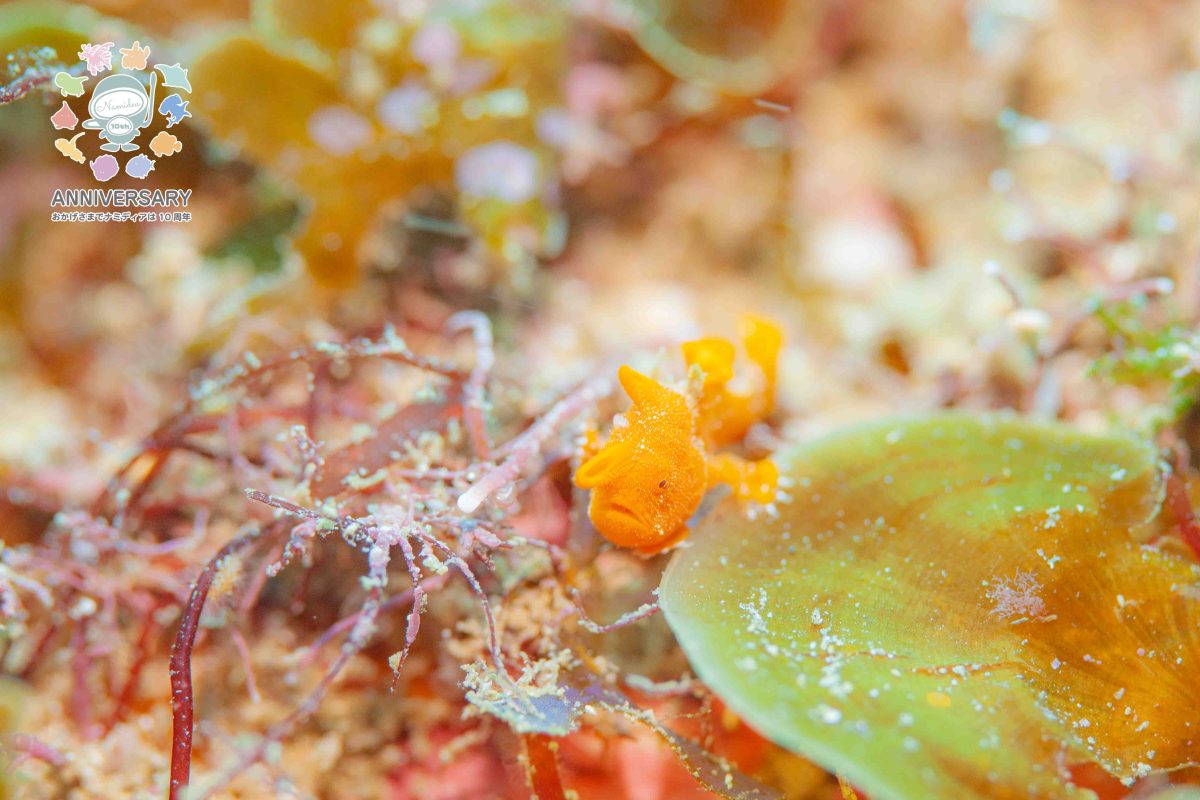 Namidea 週末の始まり🎄