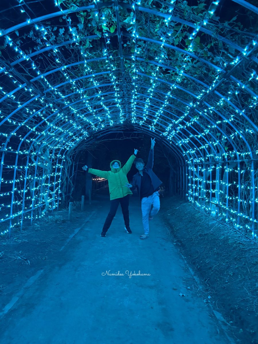 伊豆大島 イルミネーション