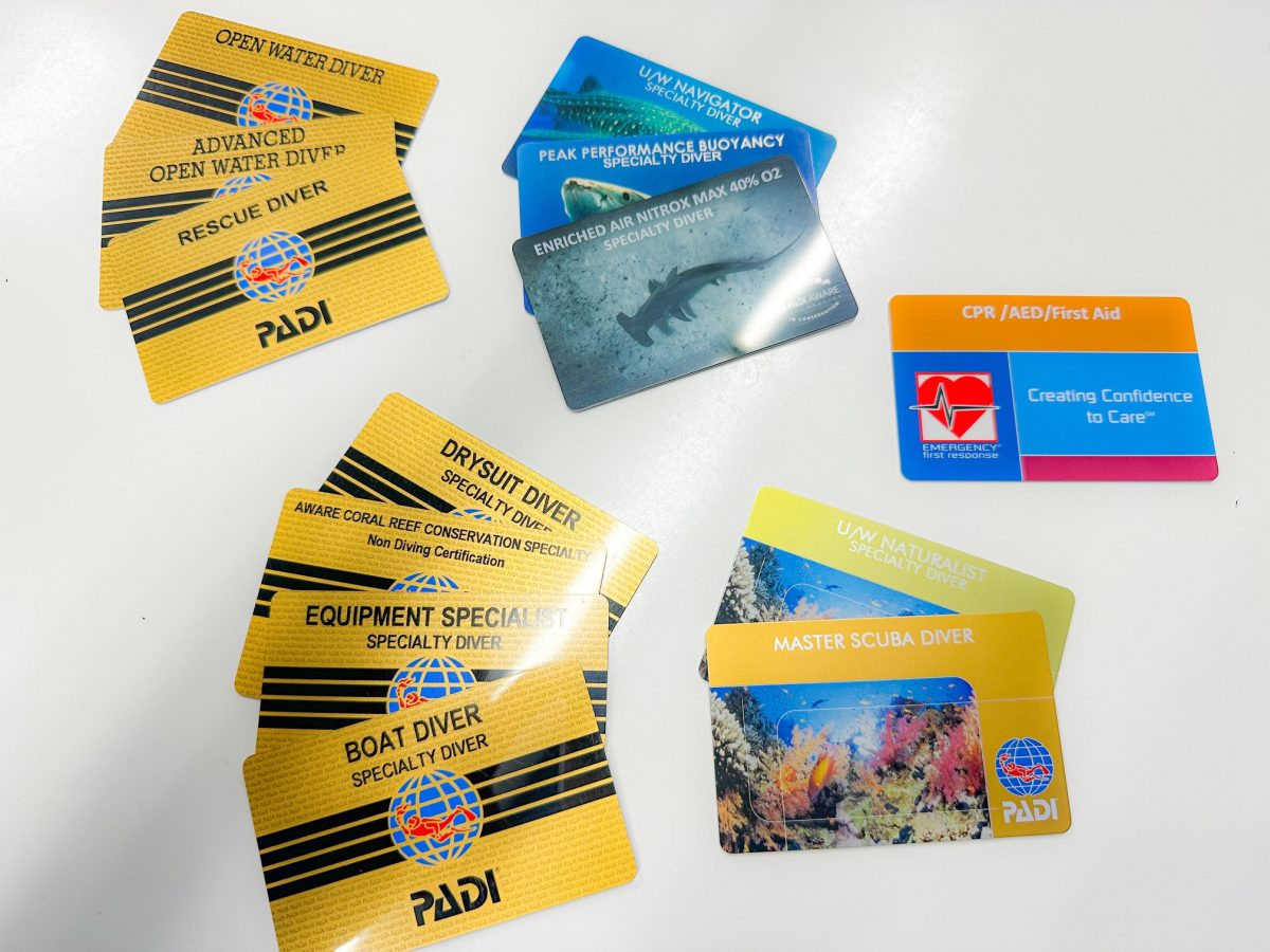 祝❗️Namidea NEWダイブマスター誕生🎉